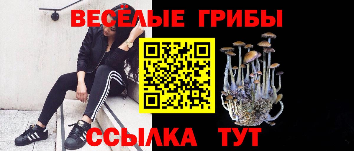 Жуковский  Псилоцибиновые грибы Magic Shrooms  Вход с VPN  Псилоцибиновые грибы ЛСД 